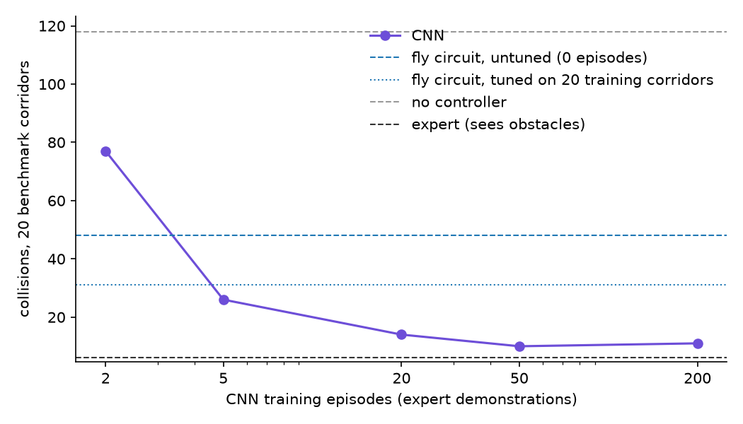 Line chart of CNN collisions on 20 benchmark corridors against training episodes on a log scale: 77 at 2 episodes, 26 at 5, 14 at 20, 10 at 50 and 11 at 200. Horizontal lines mark the untuned fly circuit at 48, the tuned fly at 31, no controller at 118 and the obstacle-reading expert at 6.